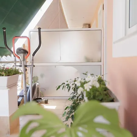 Beautiful Eleni 100 Szpárti