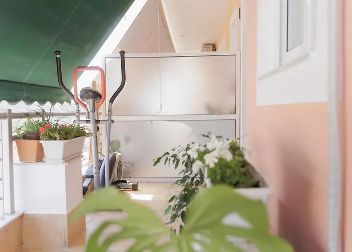 Beautiful Eleni 100 Σπάρτη